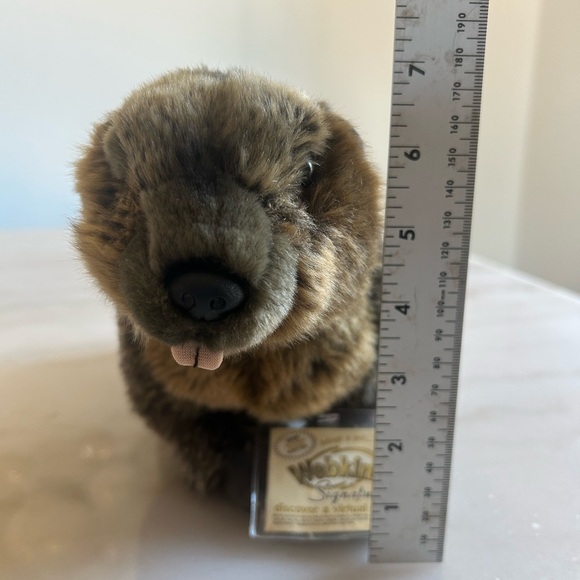 Webkins Signature Beaver Ganz with Unused Tag Unplayed With  Webkinz Signature Beaver - Plush - WKS1027 - GANZ, Or Best Offer